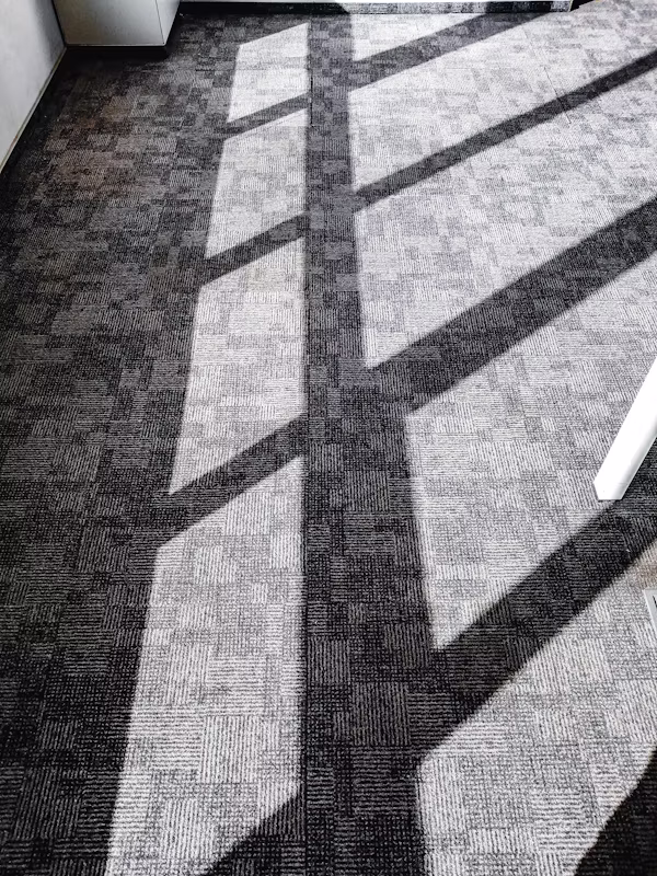 Carpet Cleaning Faizabad