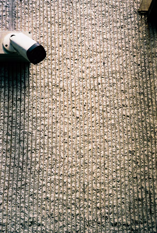 Carpet steam cleaning result